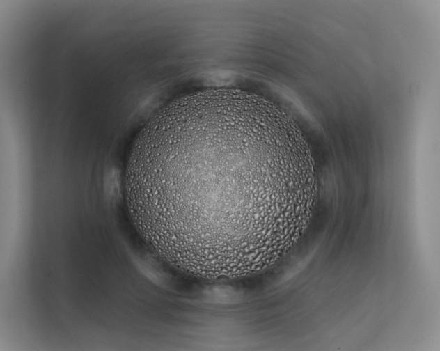 X0000113200598200909101113