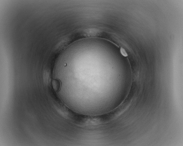 X0000113200599200909101113