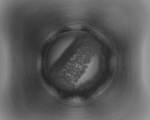 X0000113200600200909101113