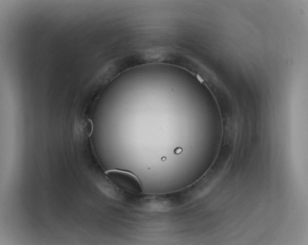 X0000113200601200909101113