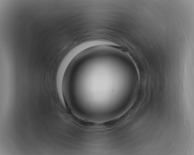 X0000113200603200909101113