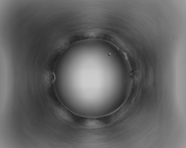 X0000113200605200909101113