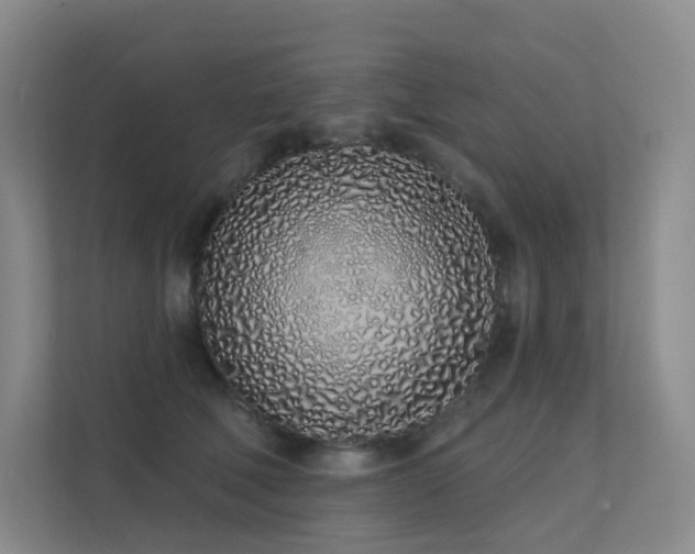 X0000113200610200909101113