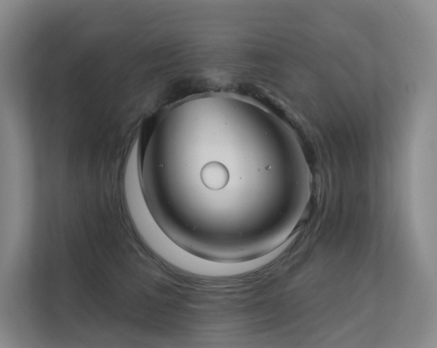 X0000113200613200909101113