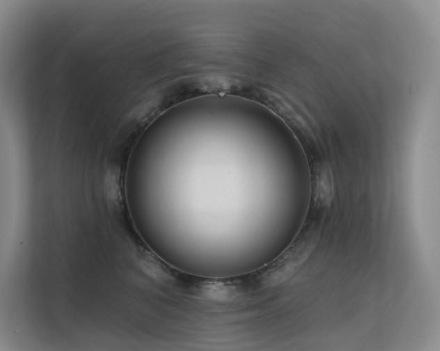 X0000113200616200909101113