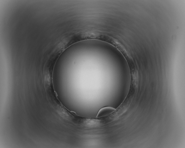 X0000113200617200909101113