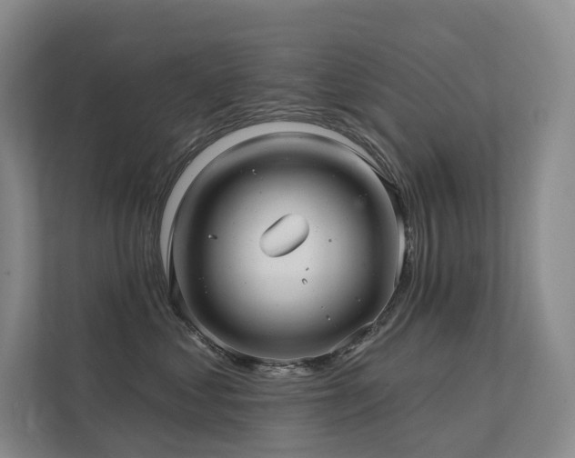 X0000113200621200909101113