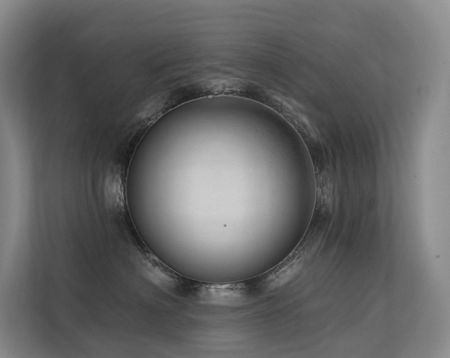 X0000113200622200909101113