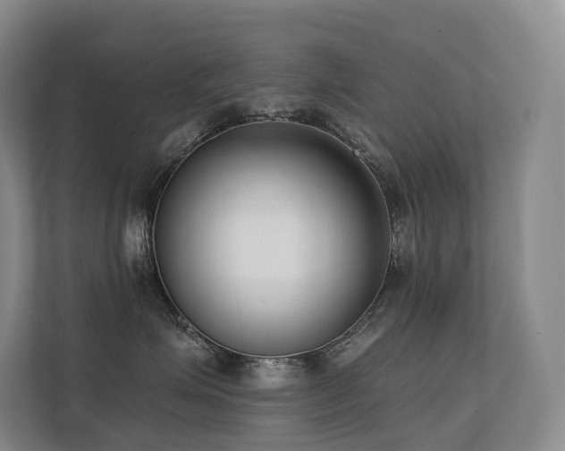 X0000113200623200909101113