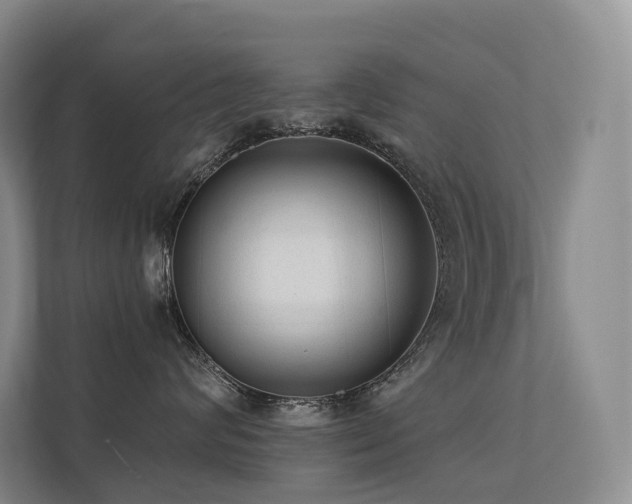 X0000113200624200909101113