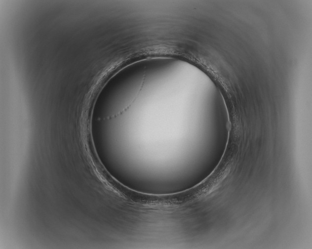 X0000113200625200909101112