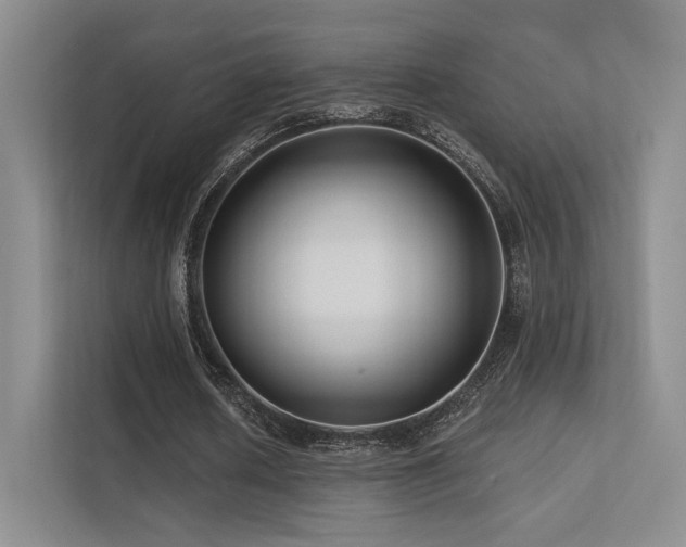 X0000113200626200909101112