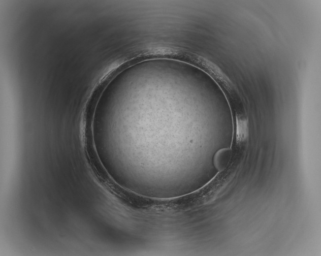 X0000113200627200909101112