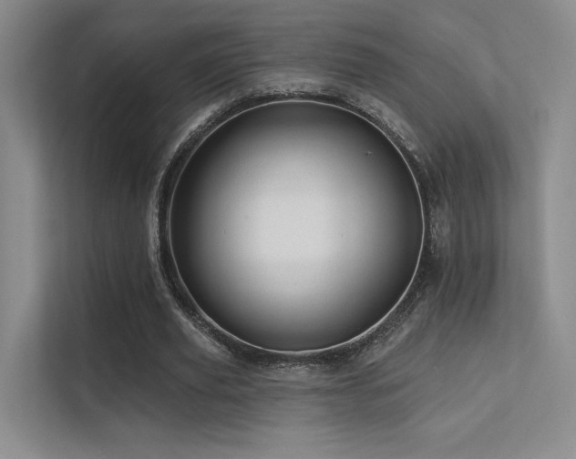 X0000113200629200909101112