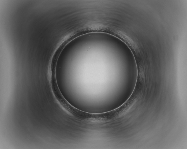 X0000113200630200909101112