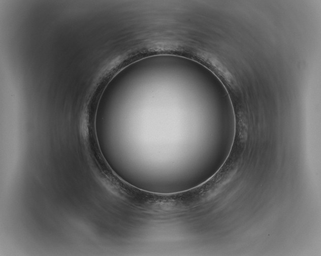 X0000113200631200909101112