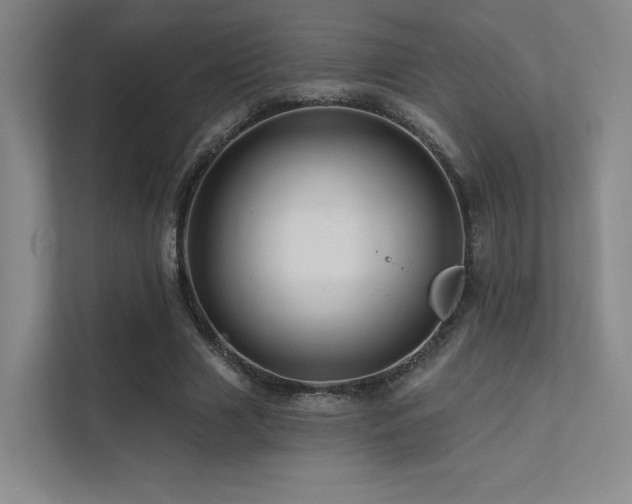 X0000113200633200909101112