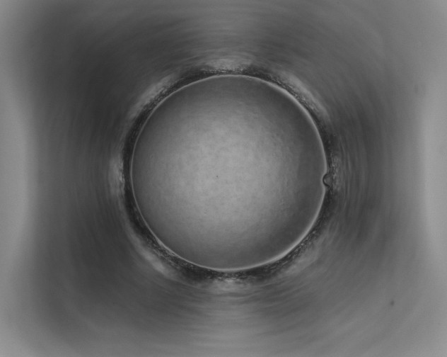 X0000113200634200909101112