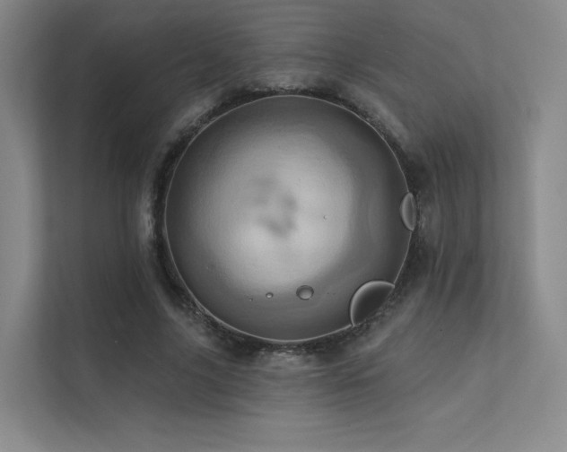 X0000113200635200909101112