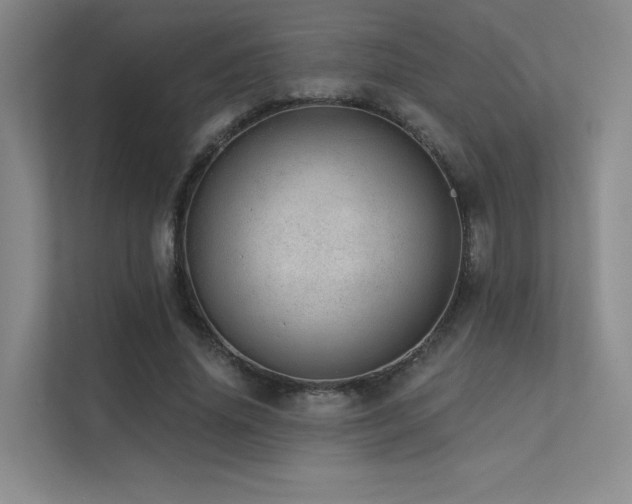 X0000113200636200909101112