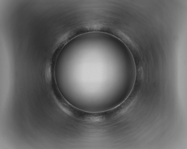 X0000113200638200909101112