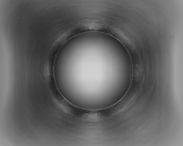 X0000113200639200909101113