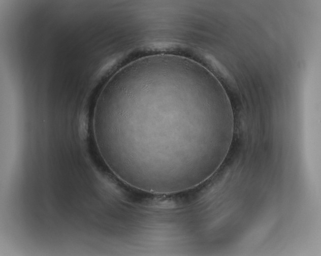 X0000113200640200909101113