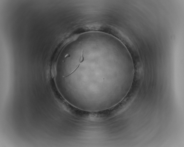 X0000113200641200909101113