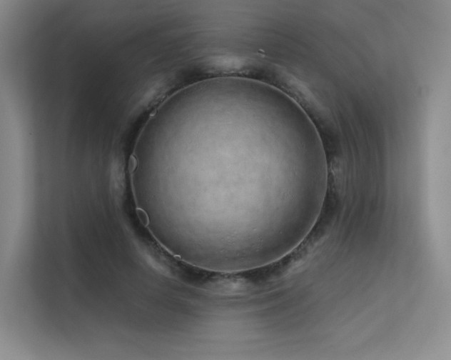 X0000113200642200909101113