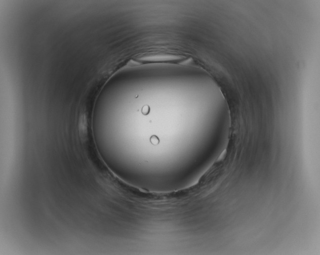 X0000113200646200909101113