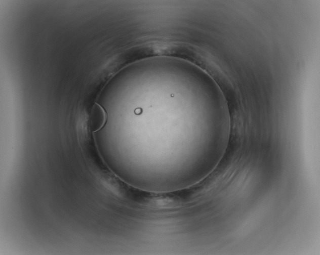 X0000113200650200909101113