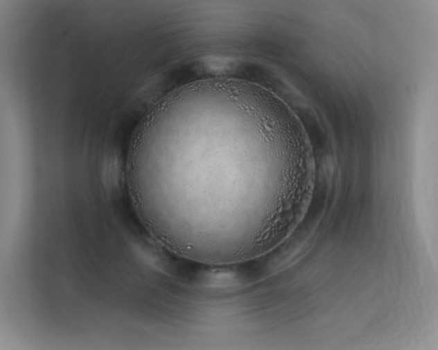 X0000113200651200909101113