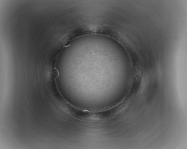 X0000113200656200909101113