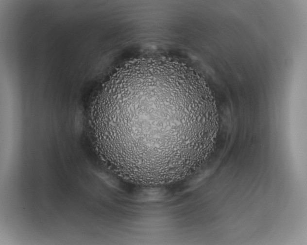 X0000113200659200909101113