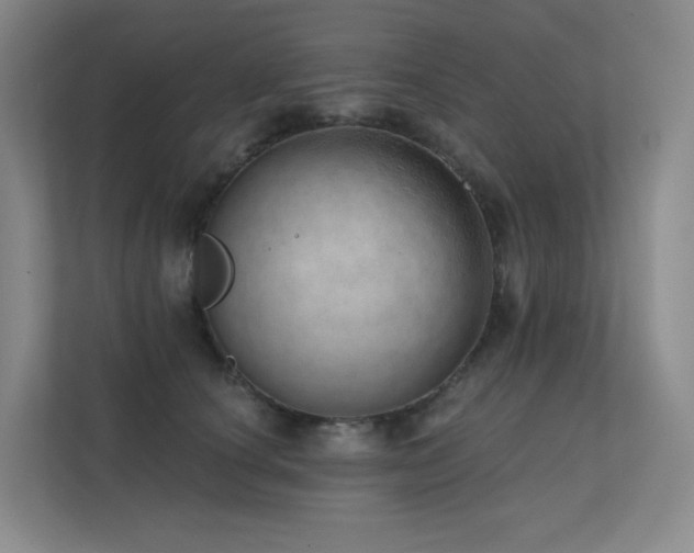 X0000113200660200909101113