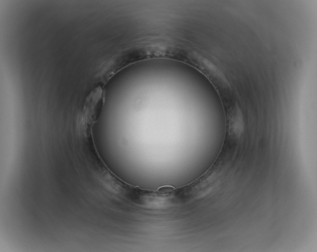 X0000113200661200909101113