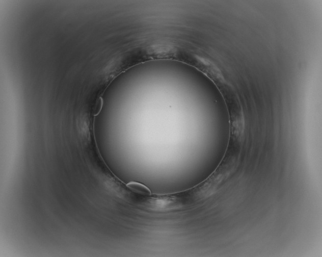 X0000113200662200909101113