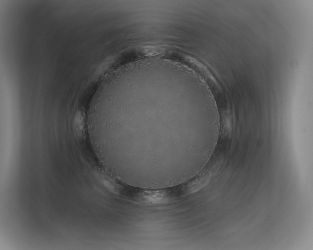 X0000113200667200909101113