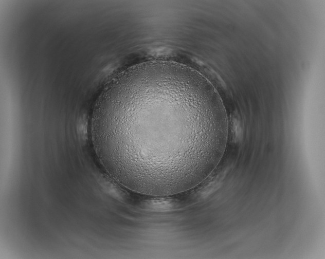 X0000113200668200909101113