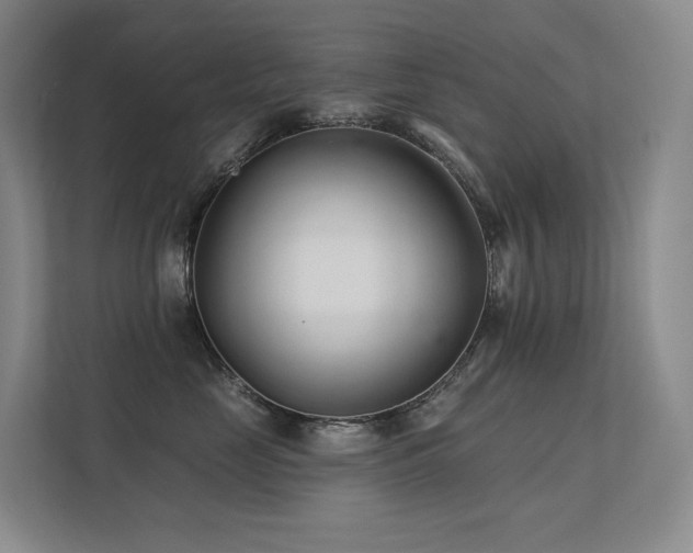 X0000113200669200909101113