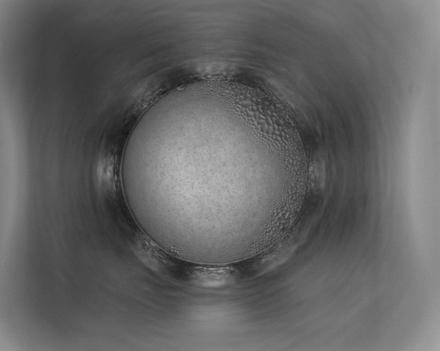 X0000113200671200909101113