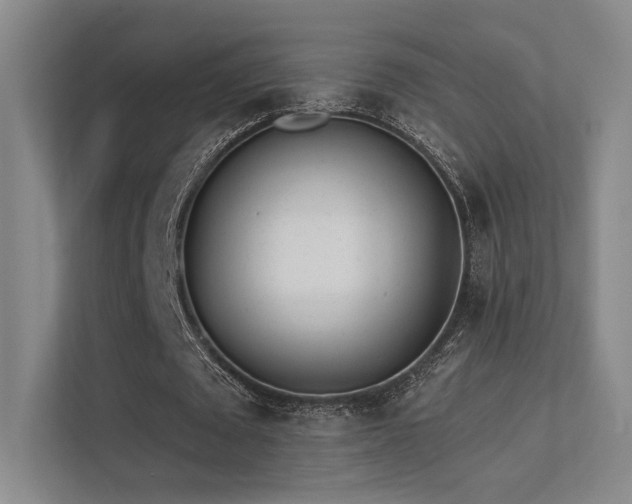 X0000113200673200909101112