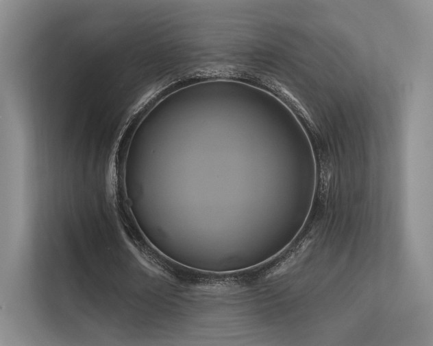 X0000113200674200909101112