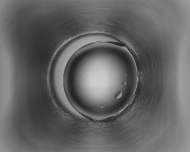 X0000113200676200909101112