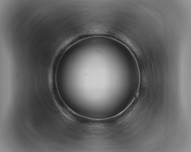 X0000113200677200909101112