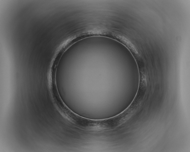 X0000113200678200909101112