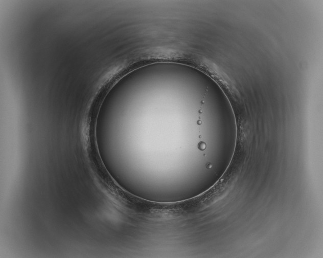 X0000113200679200909101112