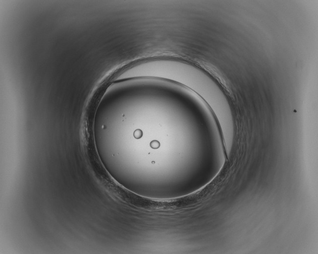 X0000113200680200909101112