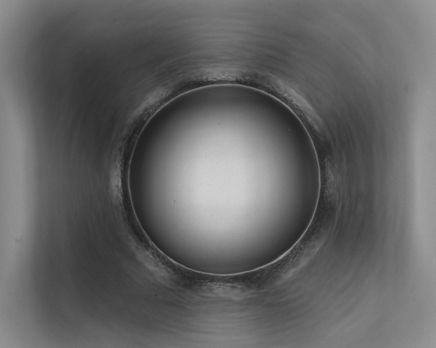 X0000113200681200909101112