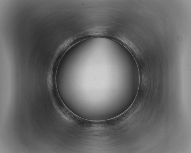 X0000113200682200909101112